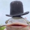 Profilbild von Nonack
