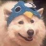 Profilbild von 🏳️🌈 Frawthyy 🏳️🌈