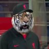 Dave's profile picture