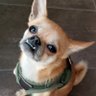 Profilbild von Bobbina