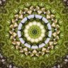 Educationsystemthatworks's profile picture