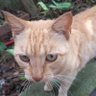 Фото профиля Gati🏹🧭