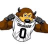 Profilbild von Mr. Buffaloes