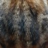 wg(えむう) profil fotoğrafı