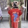 Akash Singh's profile picture