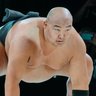 El pelón sumo's profile picture