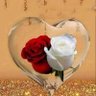 🌹نجـــــم🌹star profil fotoğrafı
