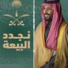 Profilbild von المجدد