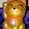 Profilbild von ねこ