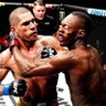 alex pereira 的头像