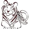 Dave Bergeron's profile picture