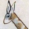 Girabbit 的头像