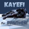 De SSP Kayefi profil fotoğrafı