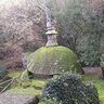 Profilbild von lichfieldgardens47