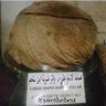 محمد طواف's profile picture