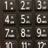 ホーマー片桐 的头像