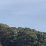 フミハル profil fotoğrafı