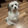 MH's profile picture