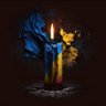 Фото профиля Adrienne Wall 🇺🇸 🇺🇦🇺🇦💙💛