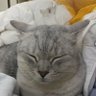 木头头 profil fotoğrafı