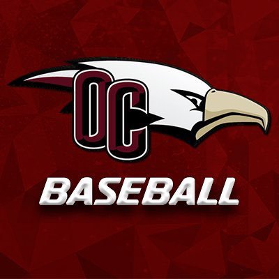 baseball_oc's profile picture