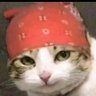 蕉警's profile picture
