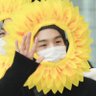 Profilbild von sya⁷