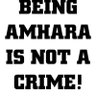 Mr MuMa 的头像