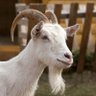 YEMI007(Ø,G)'s profile picture