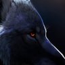محب الذئاب Wolves lover profil fotoğrafı