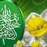 yalda's profile picture