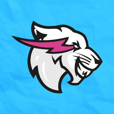 BeastPhilanthr's profile picture