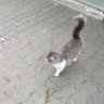 baco profil fotoğrafı