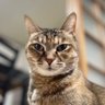 Profilbild von ジャッキー姉