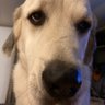 Lydia's profile picture