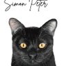 Фото профиля Simon Peter
