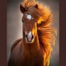 LoveHorses17 的头像