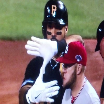 StephTuittRules's profile picture