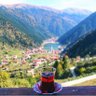 m kc profil fotoğrafı