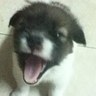 Profilbild von George Q