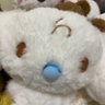 Фото профиля ぬいころりん