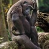 auak666's profile picture