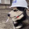 Leon's profile picture