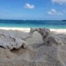 Profilbild von CC