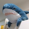 Iris鯊鯊's profile picture