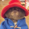 Babyfather_ 的头像