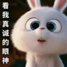 Фото профиля 小东不小