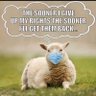 Don’t let them pull the wool over your eyes 🇬🇧 profil fotoğrafı
