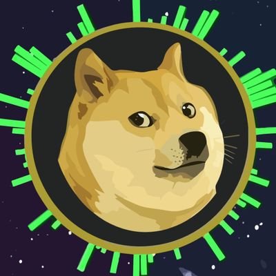 狗狗币买卖记录·韭菜君's profile picture