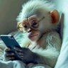 obierrandboi's profile picture